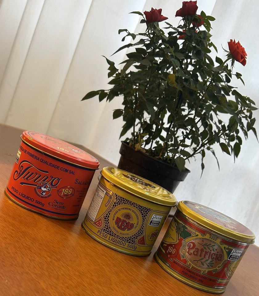 Kit 3 Manteigas 500g (Real + Turvo + Patricia)